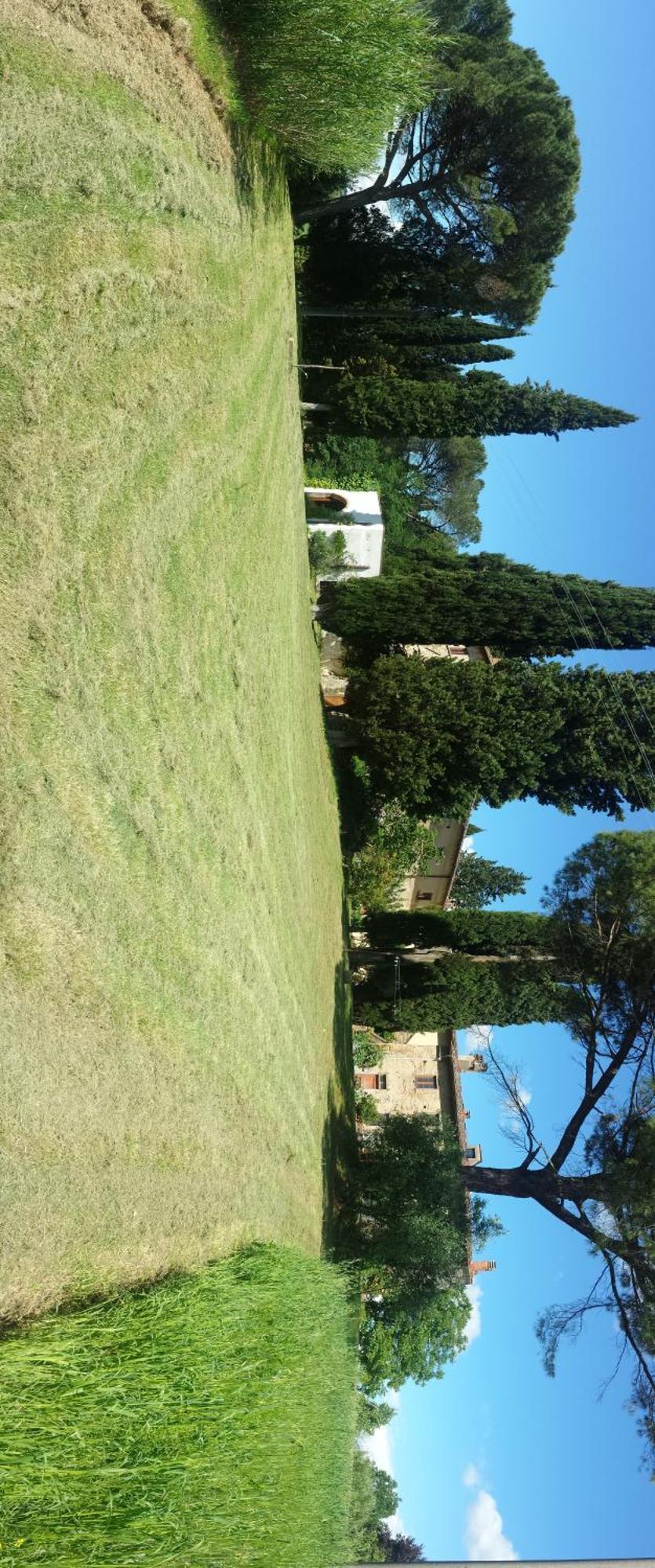Il Poggio B&B Ginestra Fiorentina Exterior photo