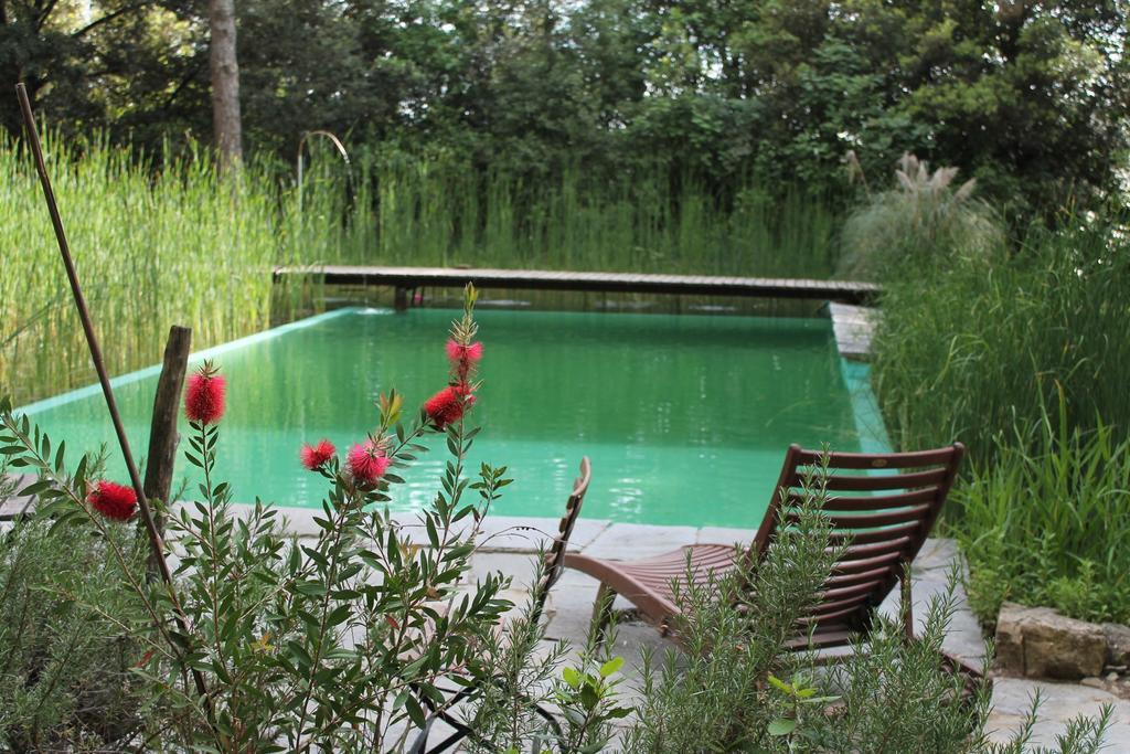 Il Poggio B&B Ginestra Fiorentina Exterior photo