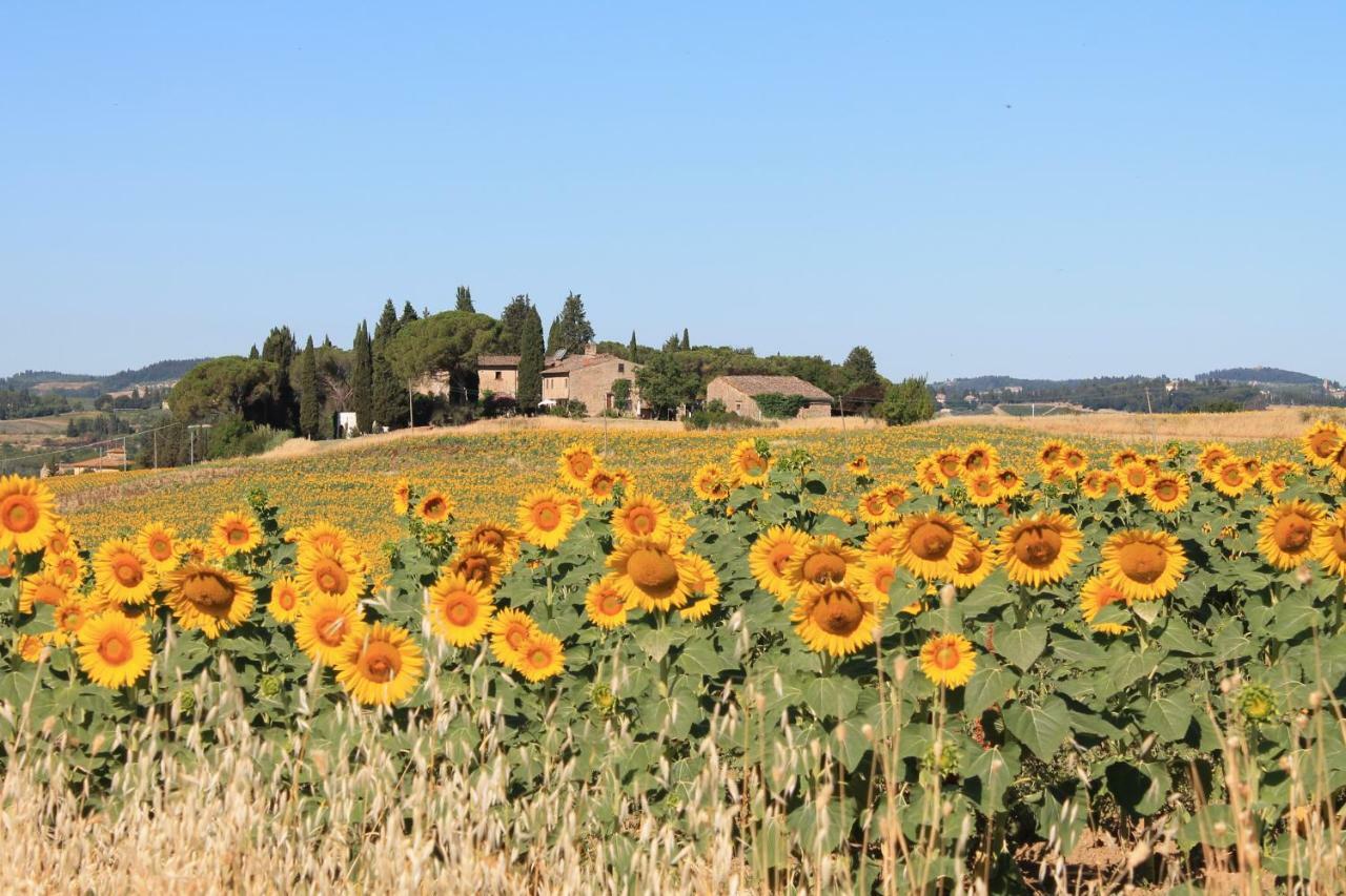 Il Poggio B&B Ginestra Fiorentina Exterior photo